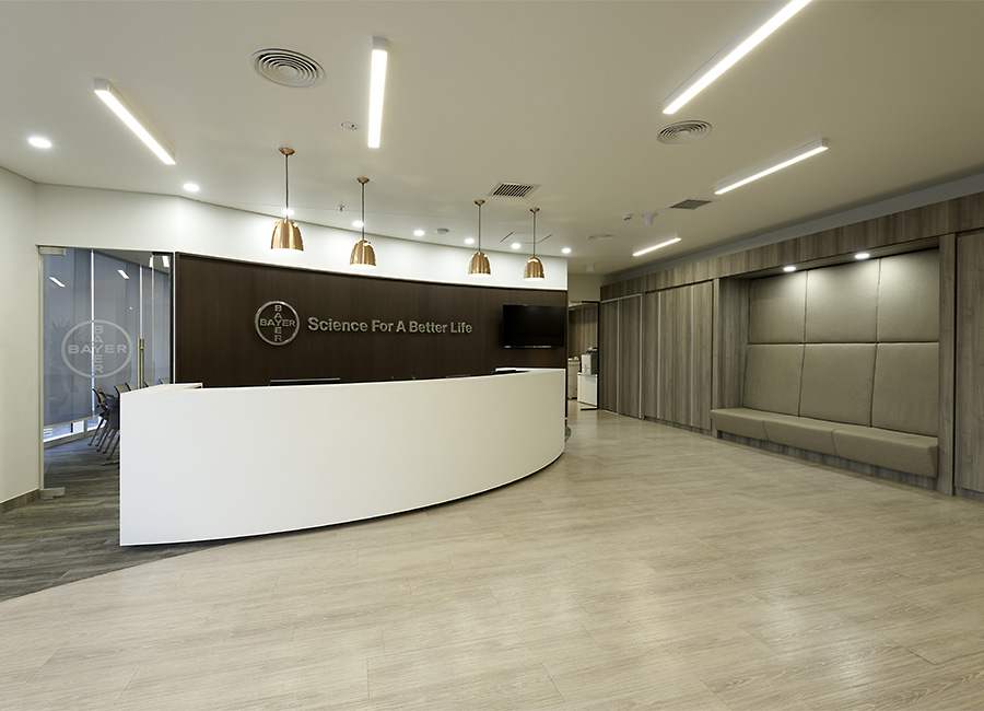 Proyecto