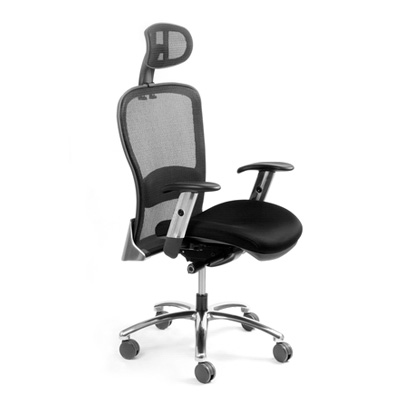 Echair